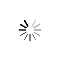 loading...