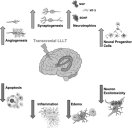 fig-1.jpg