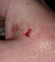 IMG_20171025_144649.jpg