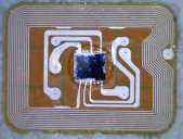 ChipStripped_1.jpg