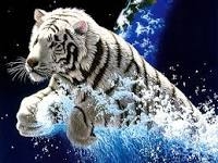 Hunter