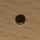 nothot