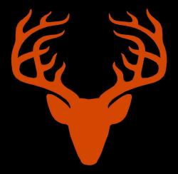 Stag